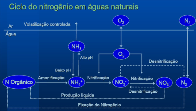 A Química do Aquário – Ciclo Biogeoquímico do Nitrogênio