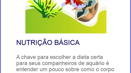 Nutrição Básica – Saiba o que uma ração precisa ter