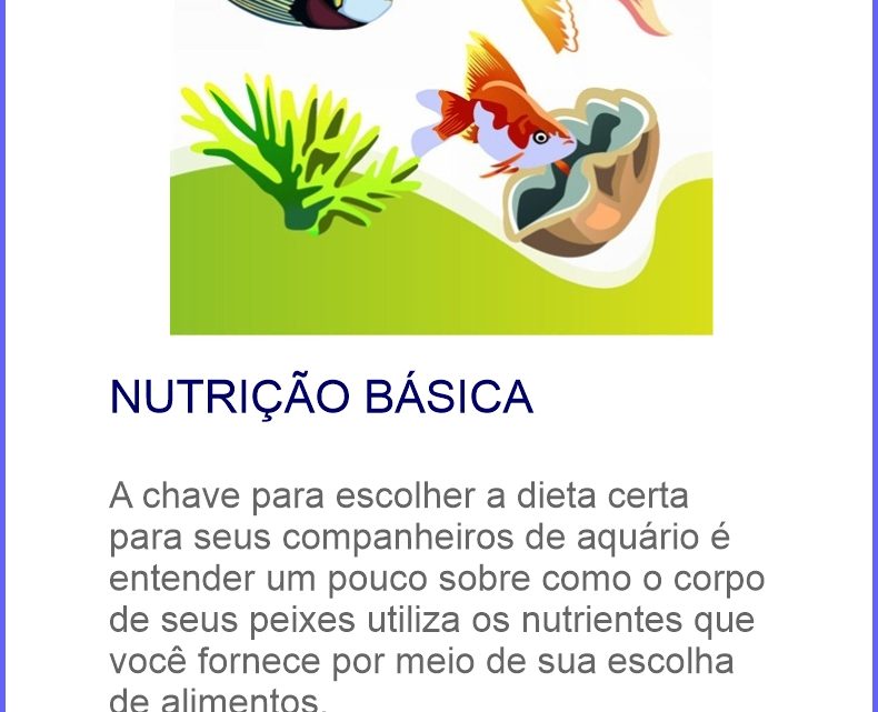 Nutrição Básica – Saiba o que uma ração precisa ter