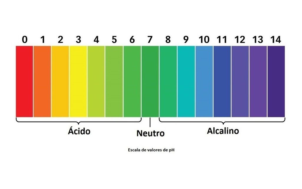 Choque osmótico e choque de pH, entenda como se relacionam