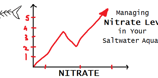 O nitrato no aquário marinho