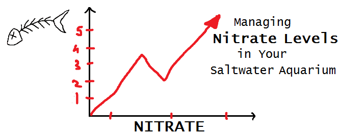 O nitrato no aquário marinho