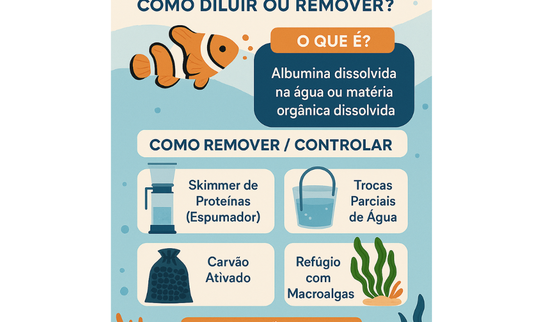 Como é produzida a albumina em um aquário marinho e como dilui-la