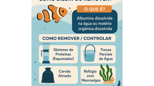 Como é produzida a albumina em um aquário marinho e como dilui-la